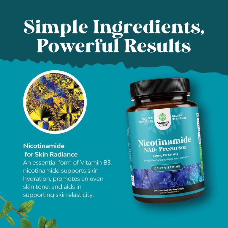Nature's Craft, никотинамид, 500 мг, 240 капсул