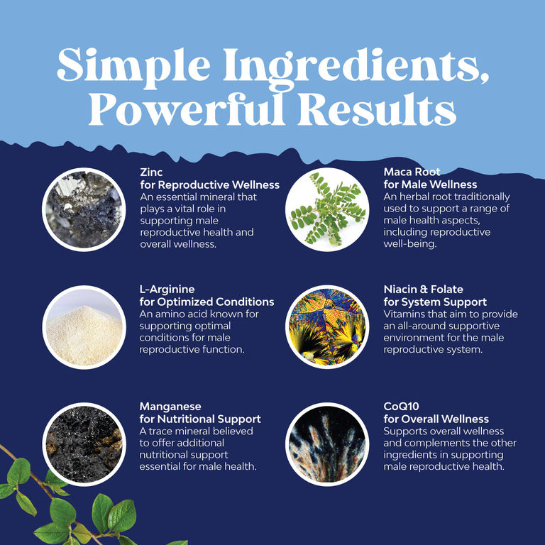 Nature's Craft, средство для поддержки мужской фертильности, 270 капсул
