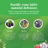 Nature's Craft, детские жевательные таблетки с бузиной, со вкусом малины, 90 жевательных таблеток (Товар снят с продажи) 