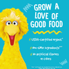 Earth's Best, Organic Letter of the Day Cookies®, для детей от 2 лет, ваниль, 150 г (5,3 унции)