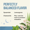 Celestial Seasonings, Wellness Tea, Sleepytime Extra®, без кофеина, 40 чайных пакетиков, 71 г (2,5 унции)