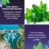 Cederberg Tea Co, Organic Spearmint, без кофеина, 100 натуральных чайных пакетиков, 140 г (4,94 унции)