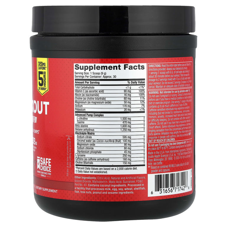 SIXSTAR, Pre-Workout Explosion 2.0, фруктовый пунш, 270 г (9,52 унции)