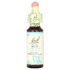 Bach, Original Flower Remedies, бук, 10 мл (0,35 жидк. унции)