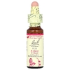 Bach, Original Flower Remedies, вяз, 10 мл (0,35 жидк. унции)