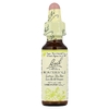 Bach, Original Flower Remedies, жимолость, 10 мл (0,35 жидк. унции) (Товар снят с продажи) 