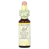 Bach, Original Flower Remedies, граб, 10 мл (0,35 жидк. унции)