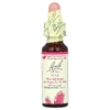 Bach, Original Flower Remedies, сосна, 10 мл (0,35 жидк. унции)
