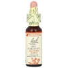 Bach, Original Flower Remedies, экстракт красного каштана, 10 мл (0,35 жидк. унции)