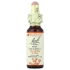 Bach, Original Flower Remedies, экстракт красного каштана, 10 мл (0,35 жидк. унции) (Товар снят с продажи) 