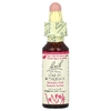 Bach, Original Flower Remedies, Star of Bethlehem, 10 мл (0,35 жидк. унции)