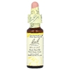 Bach, Original Flower Remedies, дикий овес, 10 мл (0,35 жидк. Унции)