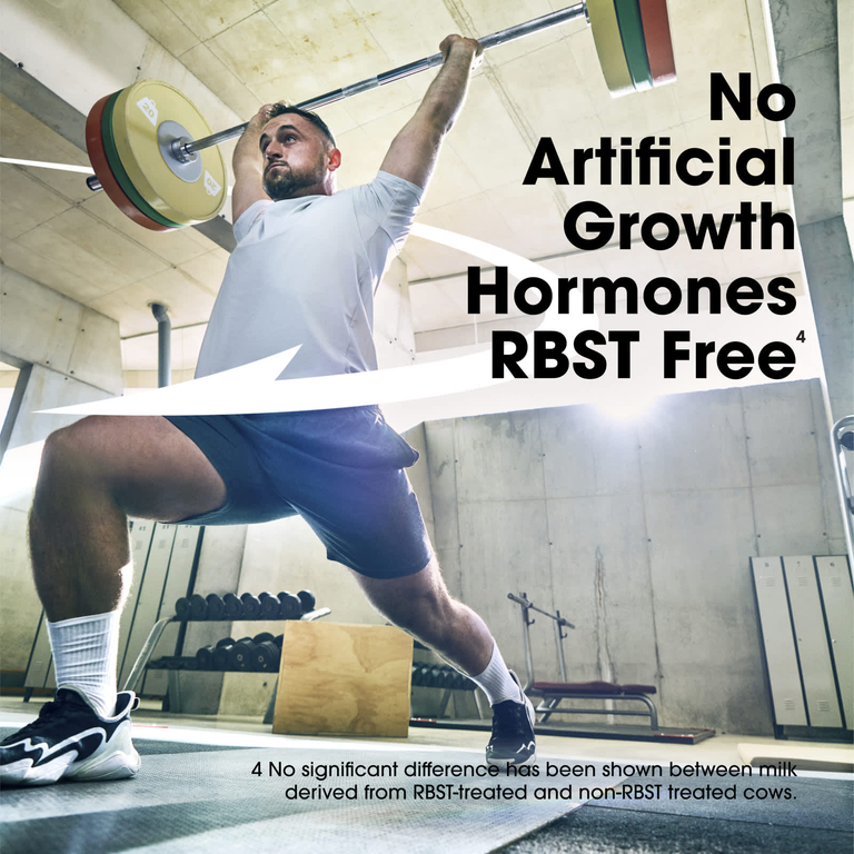 Optimum Nutrition, Gold Standard Protein Shake, протеиновый коктейль, шоколадный вкус, 4 упаковки по 325 мл (11 жидк. унций)