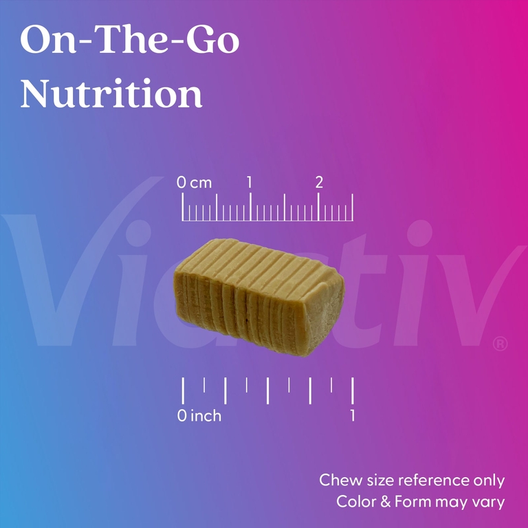 Viactiv, Calcium + Bone Strength, Max Formula, насыщенная карамель, 60 жевательных таблеток
