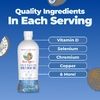 MaryRuth's, Liquid Nighttime Multimineral, Coconut Dream, 946 мл (32 жидк. унц.)