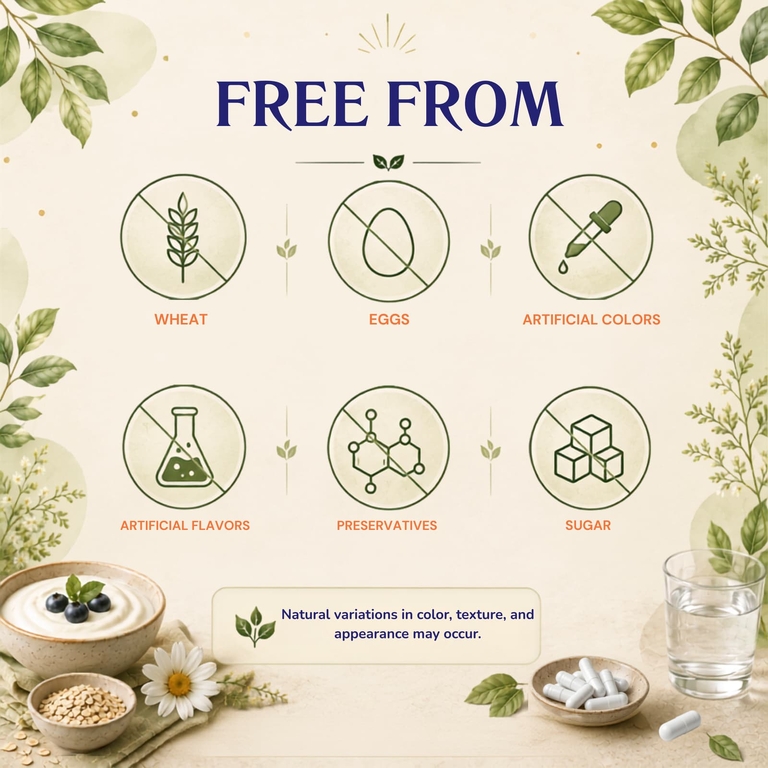 Vitamatic, аккермансия, 60 капсул DRCaps™