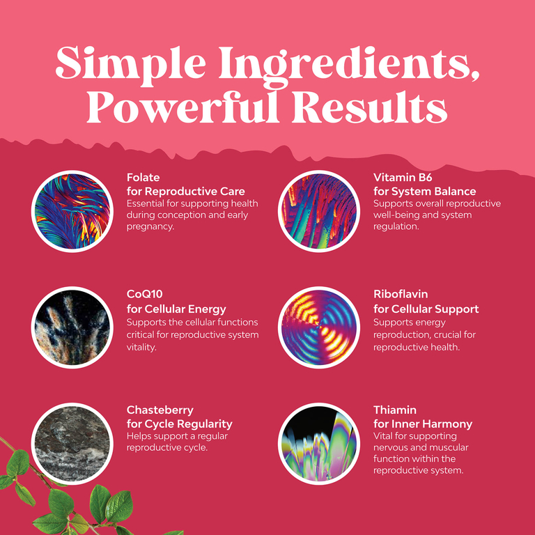Nature's Craft, Women's Wellness, средство для поддержки фертильности для женщин, 180 капсул