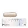 Nature's Way, Optima® Probiotic, Fortify®, для кишечника, 35 млрд, 30 капсул с отсроченным высвобождением