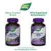 Nature's Way, Sambucus®, бузина для укрепления иммунитета, с цинком, витаминами C и D3, 70 жевательных таблеток