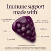 Nature's Way, Sambucus®, бузина для укрепления иммунитета, с цинком, витаминами C и D3, 70 жевательных таблеток