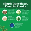 Nature's Craft, Травяное слабительное, 60 капсул