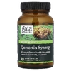 Gaia Herbs, Quercetin Synergy, 50 веганских капсул