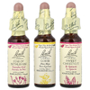 Bach, Original Flower Remedies, Comfort Kit, Hope & Joy, 3 пипетки, 10 мл (0,35 жидк. унц.)