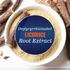 Vitamatic, DGL, 200 растительных капсул