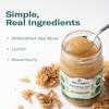 True Sea Moss, гель с дикорастущим морским мхом, 473 мл (16 жидк. унций)