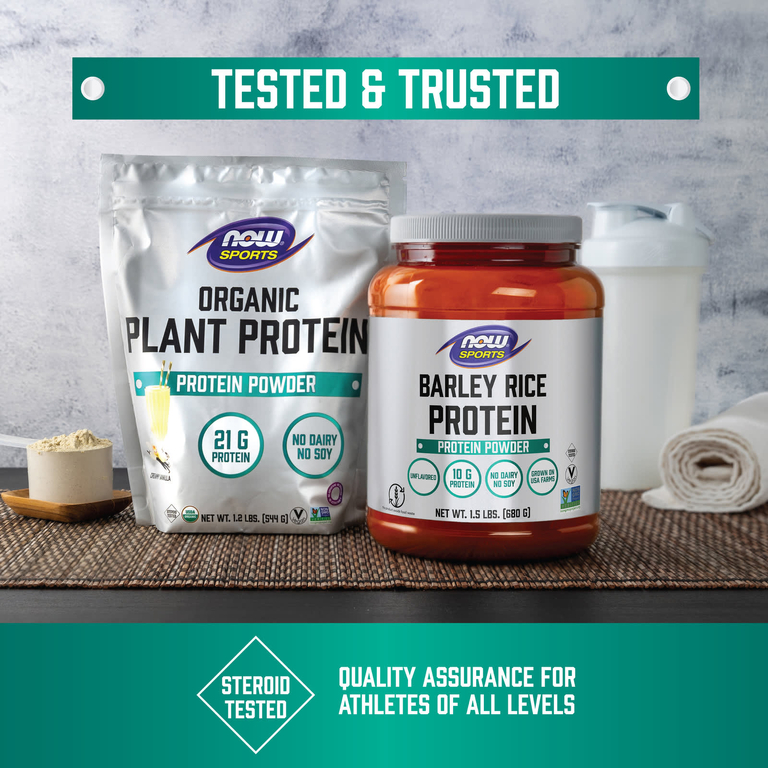 NOW Foods, Sports, органический растительный протеин в порошке, без добавок, 454 г (1 фунт)