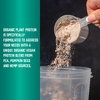 NOW Foods, Sports, органический растительный протеиновый порошок, сливочная ваниль, 544 г (1,2 фунта)