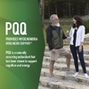 SMNutrition, PQQ с витамином B12, 60 капсул