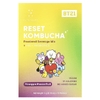 Everydaze, Reset Kombucha, порошковая смесь для напитков, ананас и маракуйя, 10 пакетиков по 5 г (0,18 унции)