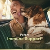 Nature's Bounty, Кверцетин с Ester-C®, 60 капсул