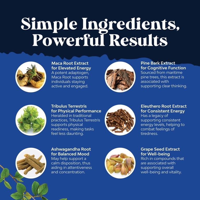 Nature's Craft, Men's Wellness, комплекс из корня маки, 120 капсул
