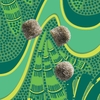 Kuli Kuli, Жевательные мармеладки Superfood, моринга и зелень, зеленое яблоко, 60 жевательных таблеток на растительной основе