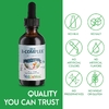 Maxi Health, KiddieMax® Liquid B-Complex ™, натуральные ягоды, 59 мл (2 жидк. Унции)