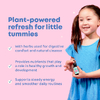 JoySpring, DetoxZee Herbal, 30 мл (1 жидк. Унция)