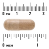 Swanson Vitamins, Full Spectrum®, хмель, 180 веганских капсул (310 мг в 1 капсуле)
