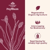 Organic India, Органический порошок подорожника, 170 г (6 унций)