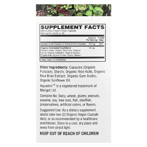 PlantFusion, Vegan SeaWater Magnesium, 60 органических веганских капсул
