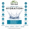 Terra Origin, Healthy Hydration +, чай со льдом из половины и половины лимонада, 30 пакетиков по 5,4 г (0,19 унции)