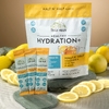 Terra Origin, Healthy Hydration +, чай со льдом из половины и половины лимонада, 30 пакетиков по 5,4 г (0,19 унции)