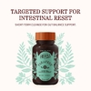 Herbs Etc., ParaFree™, 60 капсул