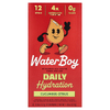 Waterboy, Daily Hydration, смесь для приготовления электролитического напитка, огурец и цитрус, 12 стиков в упаковке, 3,2 г (0,11 унции)