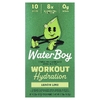Waterboy, Workout Hydration, смесь для приготовления электролитического напитка, лимон и лайм, 10 пакетиков-стиков по 6,2 г (0,22 унции) (Товар снят с продажи) 