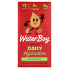 Waterboy, Daily Hydration, смесь для приготовления электролитического напитка, арбуз, 12 пакетиков по 3 г (0,11 унции)
