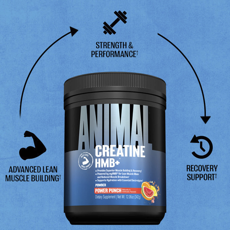 Animal, Creatine HMB+™, порошок, Power Punch, 342 г (12,06 унции)