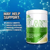 EVLution Nutrition, комплексный растительный протеин, со вкусом натуральной ванили, 300 г (0,66 фунта)