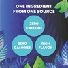 Cederberg Tea Co, Одноместный чай, органическая кудрявая мята, без кофеина, 30 натуральных чайных пакетиков, 42 г (1,48 унции)